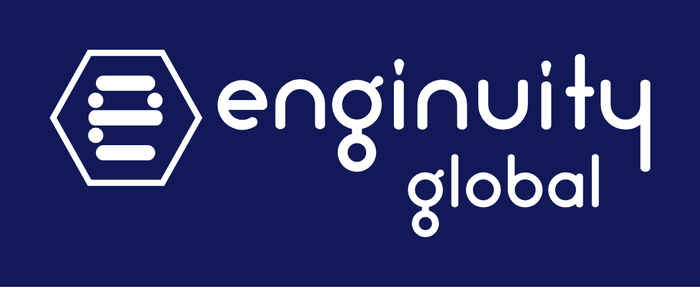Enginuity Global logo
