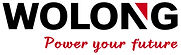 Wolong Electric America logo
