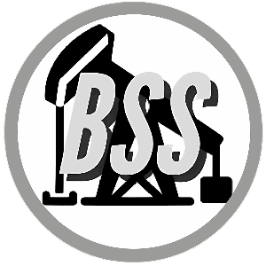 Blaze Sales & Service logo