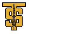 Trend Services Inc. logo