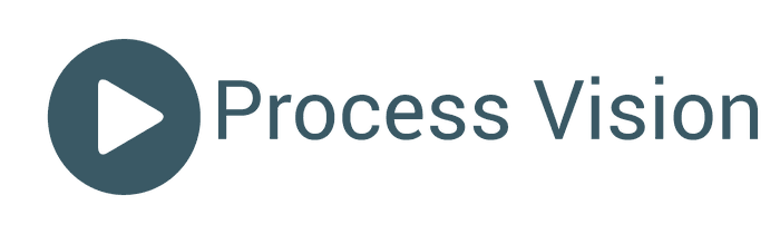 Process Vision logo