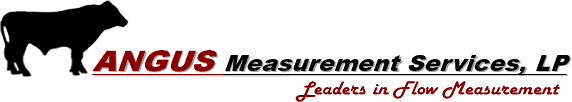 Angus Measurement Services logo