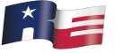 Reliance Energy Inc logo