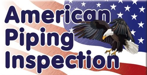 American Piping Inspection logo