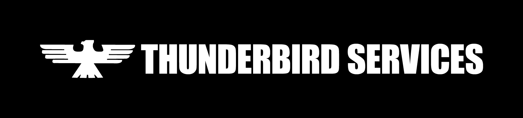 Thunderbird Services logo
