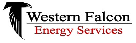Western Falcon logo